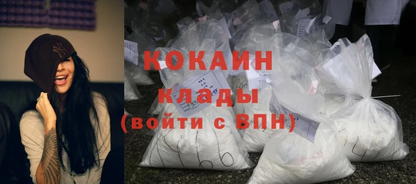 соль ск Кукмор