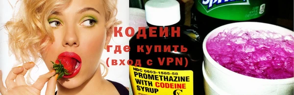 соль ск Кукмор