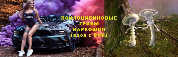 ALPHA PVP Куйбышев