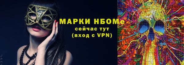 соль ск Кукмор