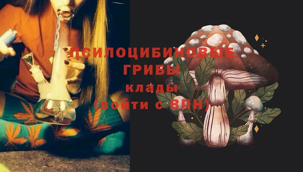 соль ск Кукмор